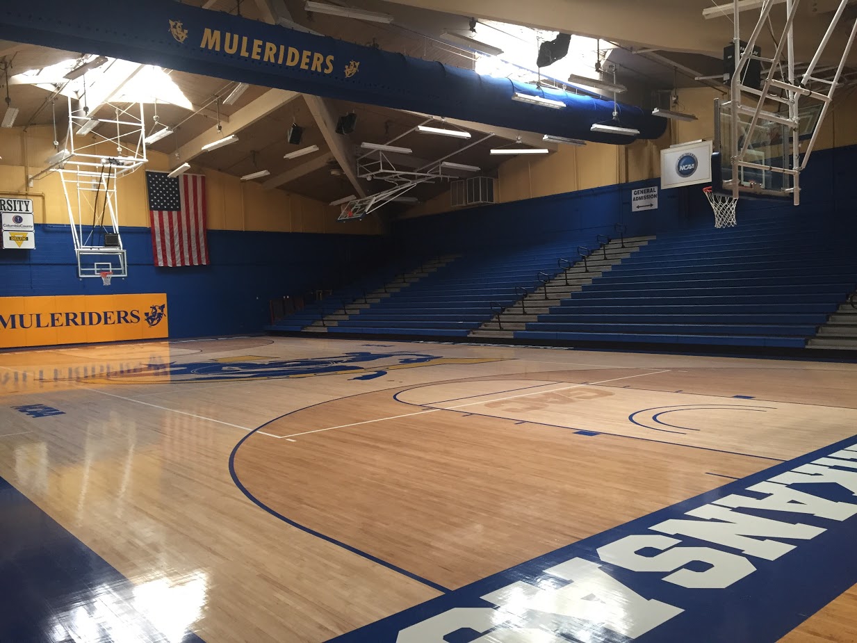 W.T. Watson Center Gym basketball court